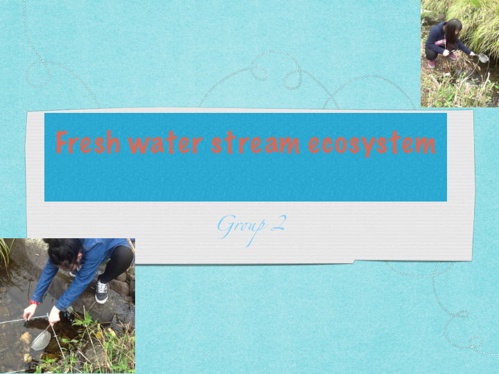 fresh water stream ecosystem