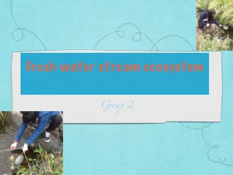 Fresh water stream ecosystem Gr ov p 2  The description  of stream lives Quadrat 1: Hong Kong Newt