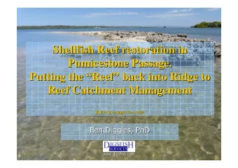 Shellfish Reef restoration in  Shellfish Reef restoration in  Pumicestone Passage.  Passage.