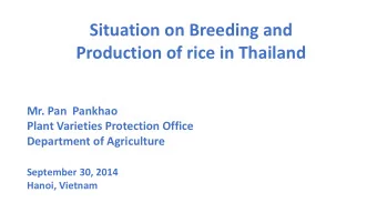 Production of rice in Thailand  Mr. Pan  Pankhao  Plant Varieties Protection Office  Department of