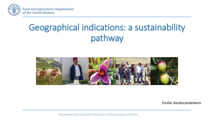 geographical indications a sustainability