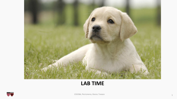 lab time