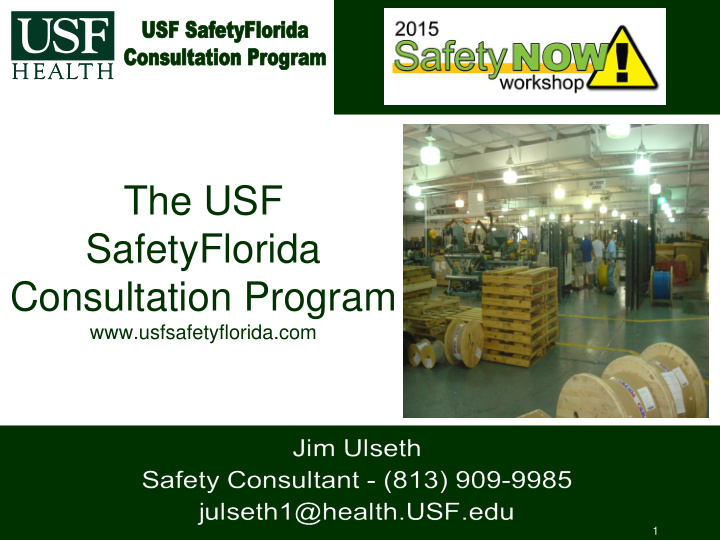 the usf safetyflorida consultation program