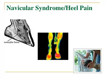 Navicular Syndrome/Heel Pain  Navicular Syndrome/Heel Pain  Clinical signs:  Forelimb