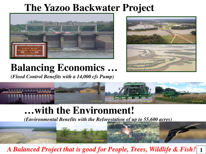 the yazoo backwater project balancing economics