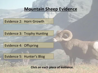 Mountain  Sheep  Evidence    Evidence  2:    Horn  Growth    Evidence