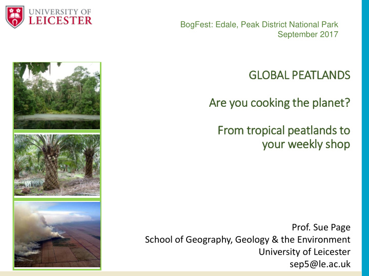 prof sue page school of geography geology the environment