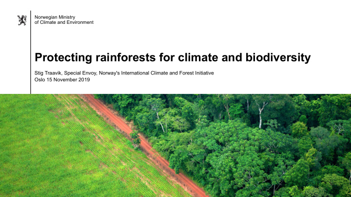 protecting rainforests for climate and biodiversity