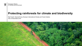 Protecting rainforests for climate and biodiversity  Stig Traavik, Special Envoy, Norway's