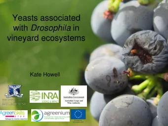 vineyard ecosystems  Kate Howell  Wine yeasts produce volatile compounds  important for wine