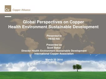 Global Perspectives on Copper  Health Environment Sustainable Development  e  n  Presented to