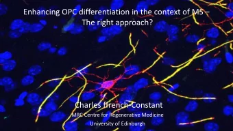 Enhancing OPC differentiation in the context of MS   The right approach?  Charles
