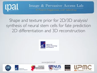 Shape and texture prior for 2D/3D analysis/  synthesis of neural stem cells for fate prediction  2D