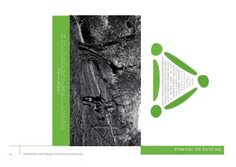 THE    OLIVE    OIL    TRIANGLE    Confidential and Privileged | Podernuovo a