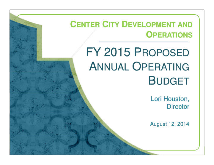 fy 2015 p