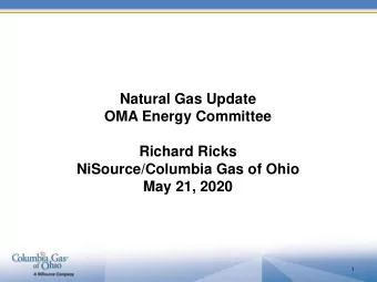 OMA Energy Committee  Richard Ricks  NiSource/Columbia Gas of Ohio  May 21, 2020  1  2019/2020 Ohio