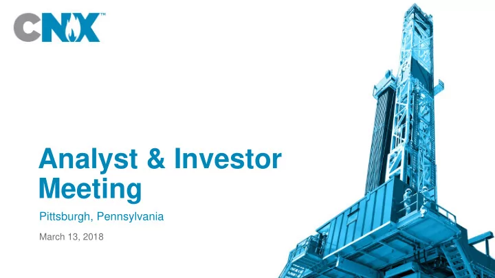 analyst amp investor