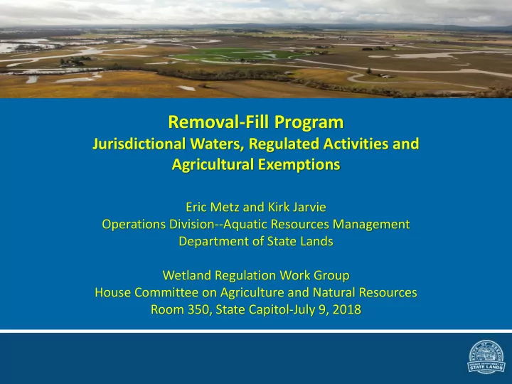 removal fill program