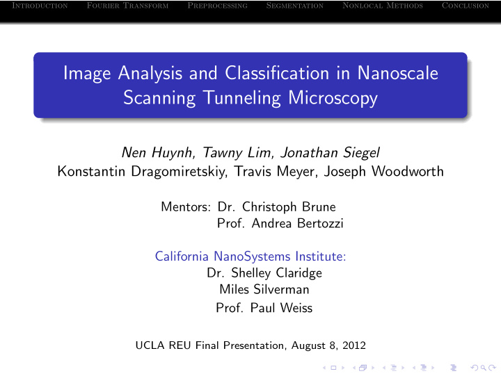 image analysis and classification in nanoscale scanning