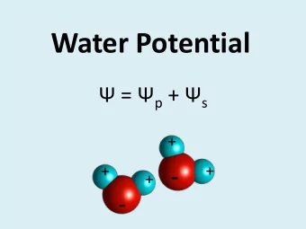 Water Potential  =  p +  s  Water Potential  Used to describe the tendency of water to