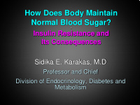 how does body maintain normal blood sugar