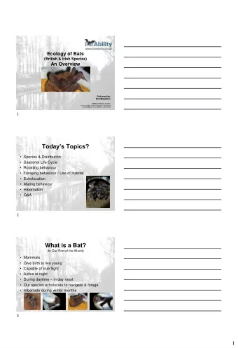 Todays Topics?  Species &amp; Distribution  Seasonal Life Cycle  Roosting behaviour
