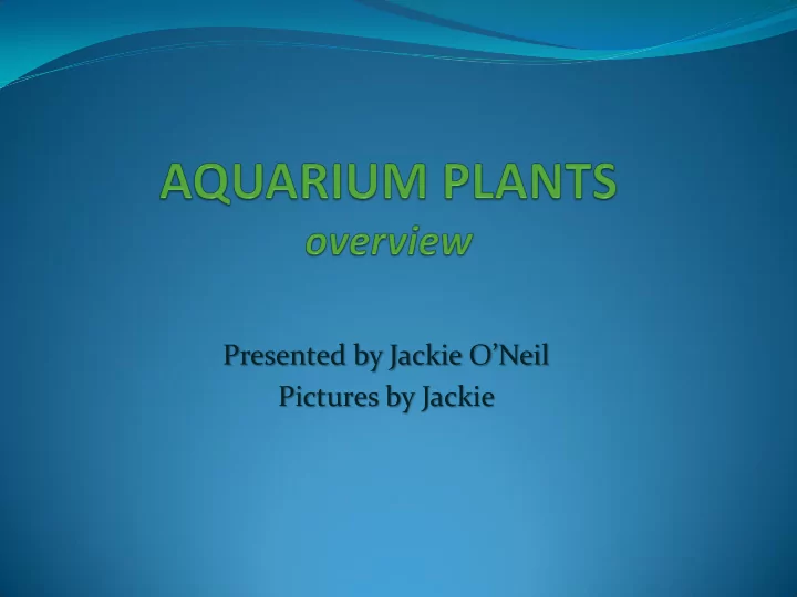 pictures by jackie planting where to start