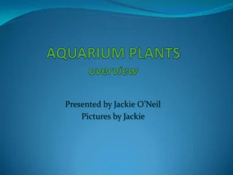 Pictures by Jackie  Planting ~ where to start?  You might find it helpful to draw your plant