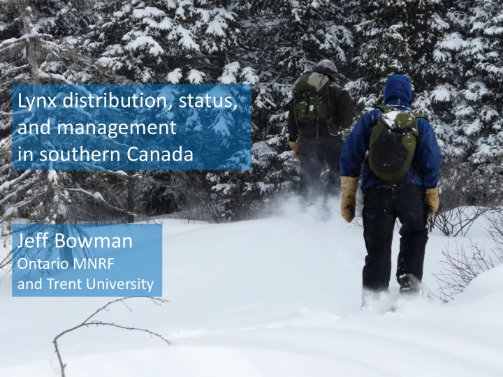 lynx distribution status and management in southern canada