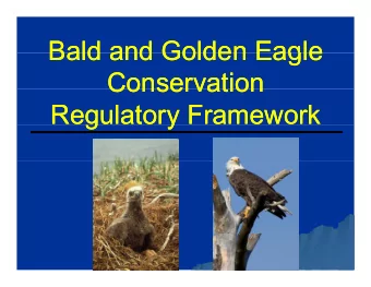 Bald and Golden Eagle  Bald and Golden Eagle  Bald and Golden Eagle  Bald and Golden Eagle