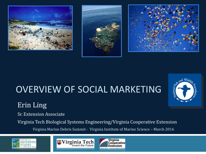 overview of social marketing