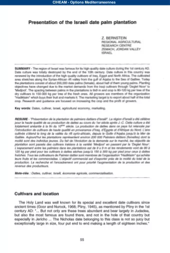 Presentation of the Israeli date palm  plantation