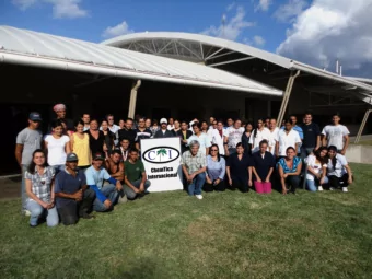 AND  USE  R. palmarum  R. cruentatus  R. phoenicis  D. borassi  R. ferrugineus  R. bilineatus  R.