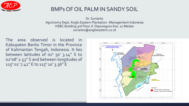 bmps of oil palm in sandy soil
