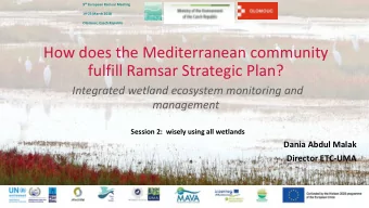 How does the Mediterranean community  fulfill Ramsar Strategic Plan?  Integrated wetland ecosystem