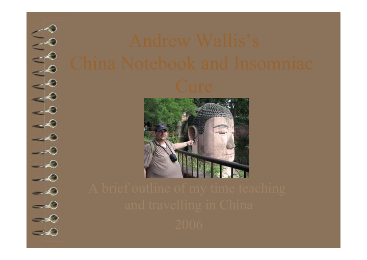 andrew wallis s china notebook and insomniac cure