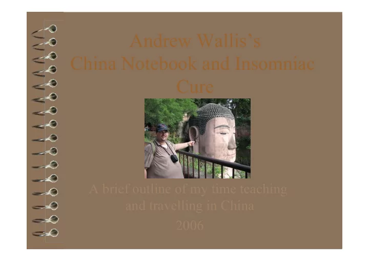 andrew wallis s china notebook and insomniac cure