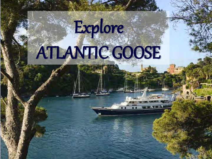 explore atlantic goose su sun deck soa soak up up the the