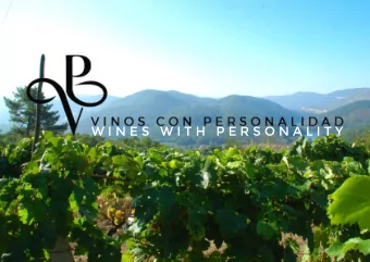 W I N E S   W I T H   P E R S O N A L I T Y  HISTORY AND FILOSOFY P ablo V idal WINES WITH