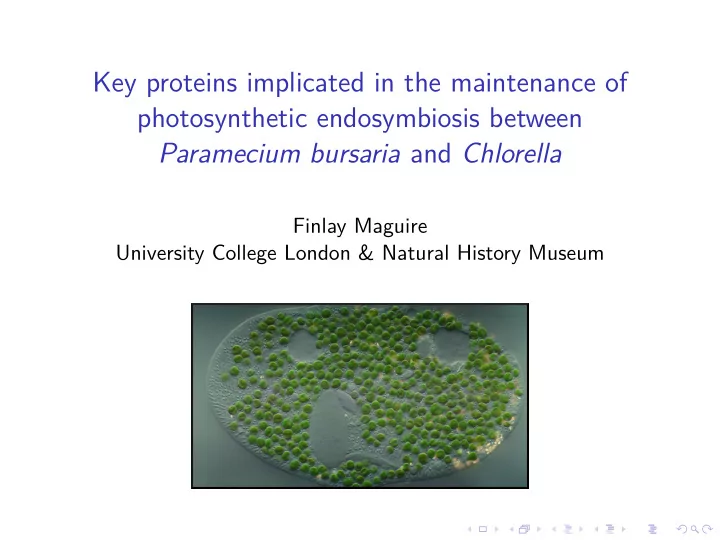 key proteins implicated in the maintenance of