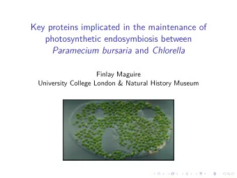Key proteins implicated in the maintenance of  photosynthetic endosymbiosis between Paramecium