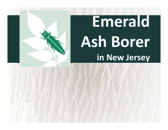 Emerald  Ash Borer  in New Jersey  Emerald Ash Borer (EAB)  History of the spread  First