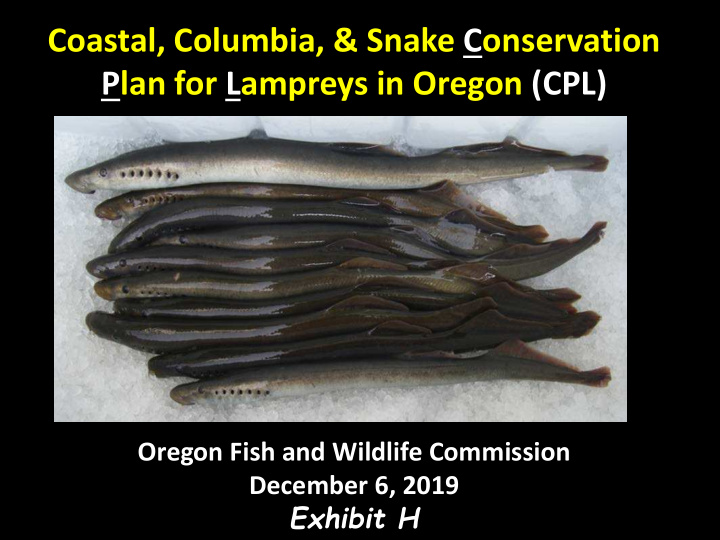 coastal columbia snake conservation plan for lampreys in