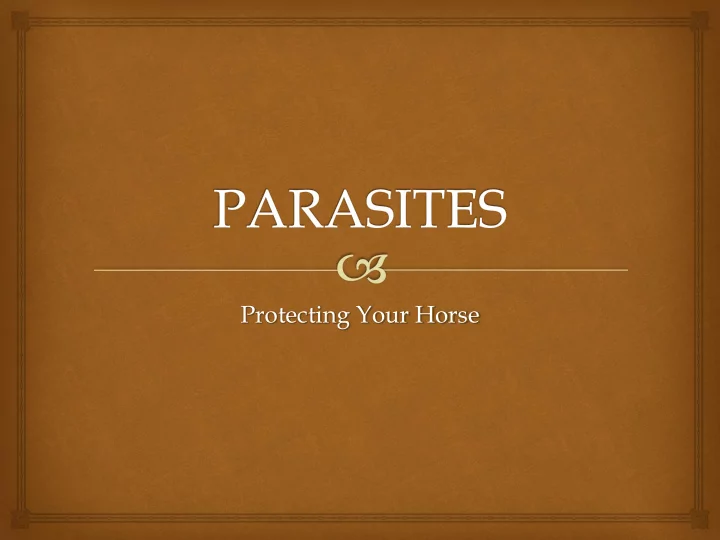 protecting your horse review the drugs