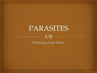 Protecting Your Horse Review  The Drugs    Fenbendazole  SafeGuard, Panacur Treatment