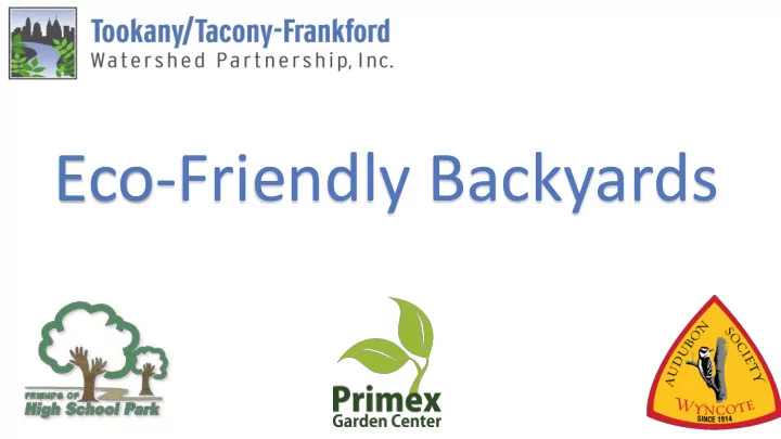 eco friendly backyards