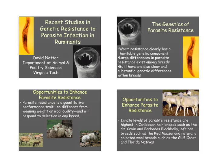 recent studies in