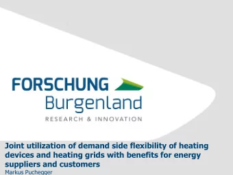 devices and heating grids with benefits for energy  suppliers and customers  Markus Puchegger