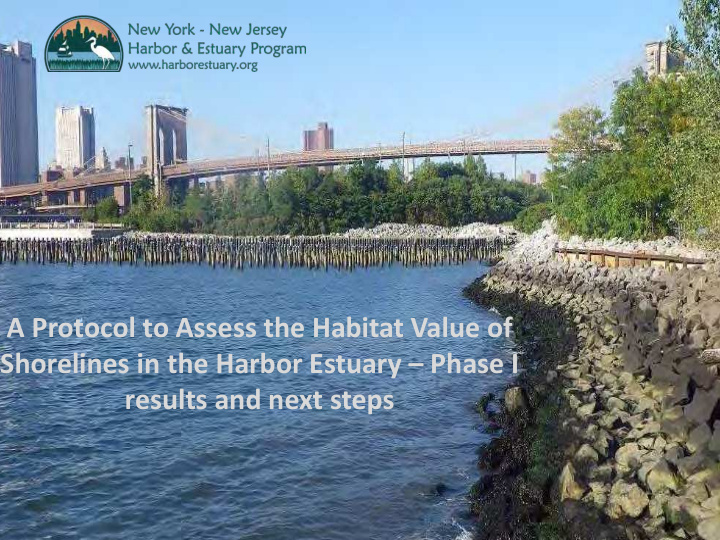 a protocol to assess the habitat value of shorelines in