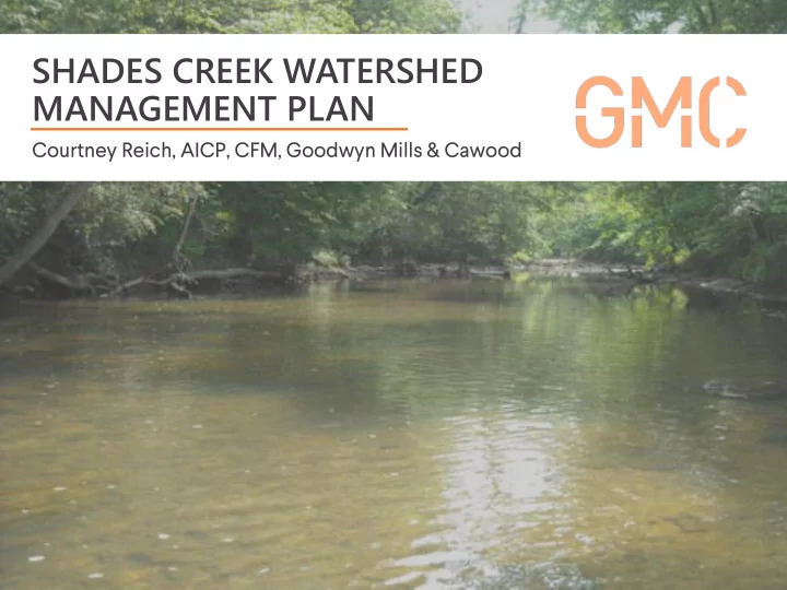 management plan